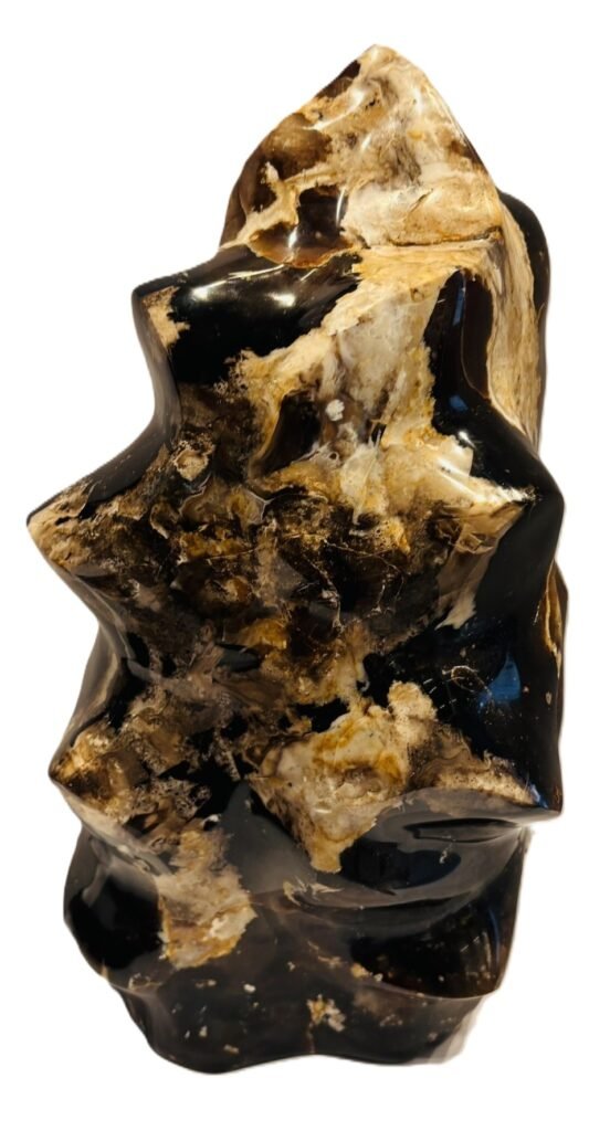 Carved black opal flame specimen sians emporium Polished black opal flame carving displaying glossy jet black body tone creamy tan veining and natural matrix patterns on an isolated white background